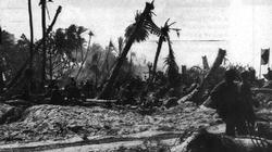 The American flag ‘ Old Glory’ flies from a shell shattered palm tree on Makin Island, November 1943.