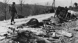 The remains of a German artillery battery ambushed by Yugoslav partisans north of Sarajevo in April 1945.